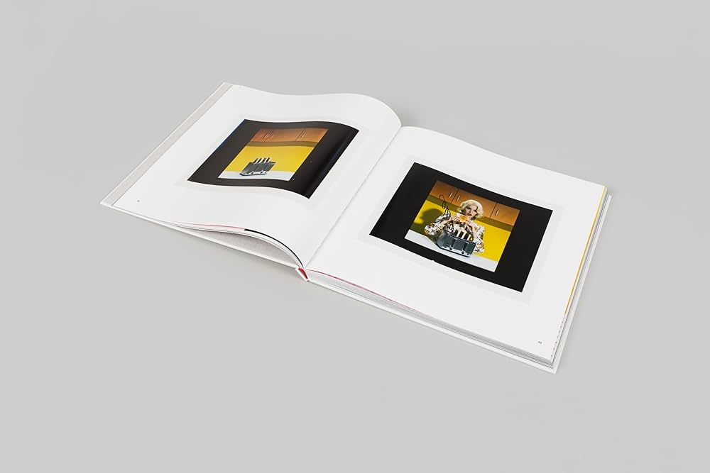 Amazon.com: Miles Aldridge: Please Please Return Polaroid